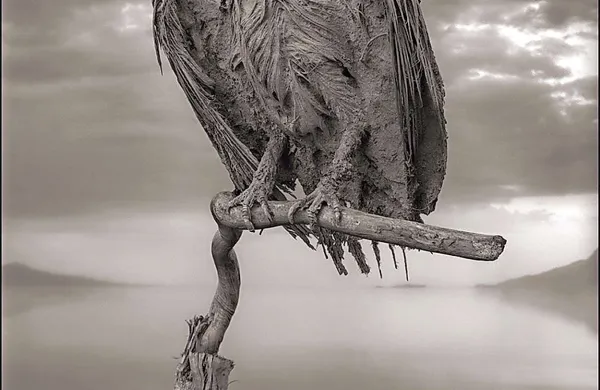 Eden najbolj neprijaznih kotičkov na svetu in njegove &ldquo;kamnite skulpture&rdquo;