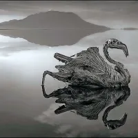 Eden najbolj neprijaznih kotičkov na svetu in njegove &ldquo;kamnite skulpture&rdquo;