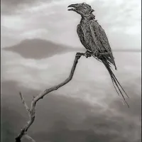 Eden najbolj neprijaznih kotičkov na svetu in njegove &ldquo;kamnite skulpture&rdquo;