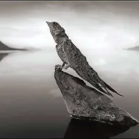 Eden najbolj neprijaznih kotičkov na svetu in njegove &ldquo;kamnite skulpture&rdquo;