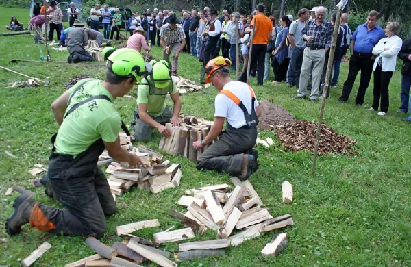Priprava  lesa in zadelavnega materiala  je ključ do kakovosti ogelnice 