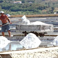 Takšnih prizorov letos v Sečoveljskih solinah še nismo videli 