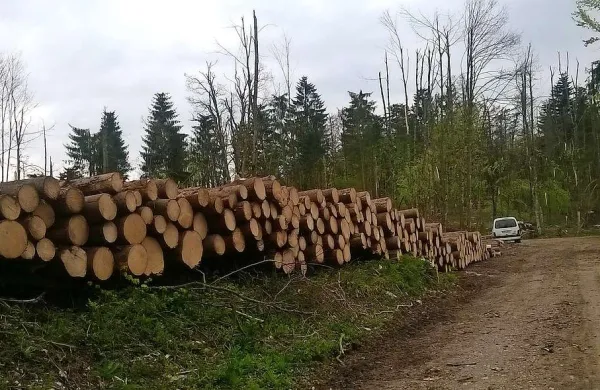 Fotografija je simbolična