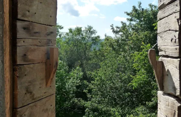 Fotografija je simbolična