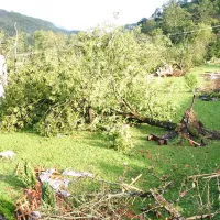 Nočni vrtinec je za seboj pustil razdejanje: na hišah in v naravi