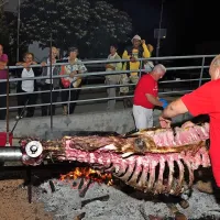 Vola snedli v nekaj urah
