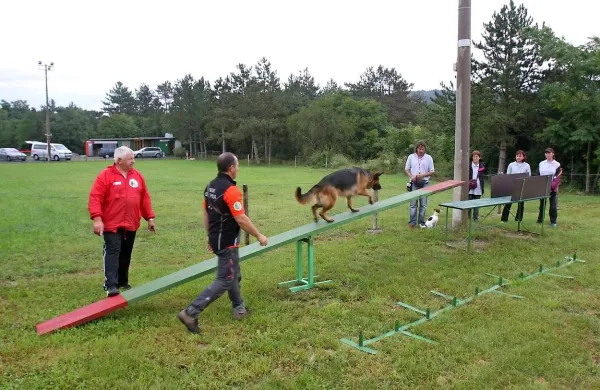 Delo na poligonu poteka skozi igro po principu pozitivne motivacije