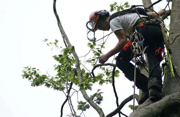 Alpinist Andraž Tratnik je  opravil najtežji del reševanja tiskarne