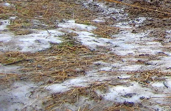 Fotografija je simbolična
