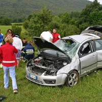 Albanska družina je včeraj zjutraj pri Materiji imela srečo, da so cestarji pred leti odžagali drevesa
