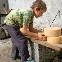 Klemen spretno suši hlebce sira