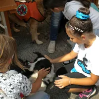 Reševalni psi se  pustijo božati tudi neznancem