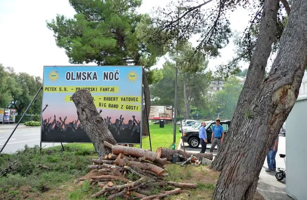 Sekajo nevarna in posu&scaron;ena drevesa