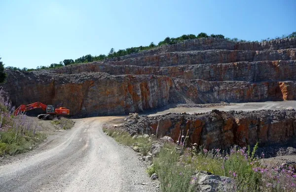 Kdaj bodo spet zabrneli stroji v kamnolomu Mali Medvejk pri Sežani, ni odvisno samo od jutrišnje dražbe kamnoloma, temveč tudi od upravnega sodišča in države