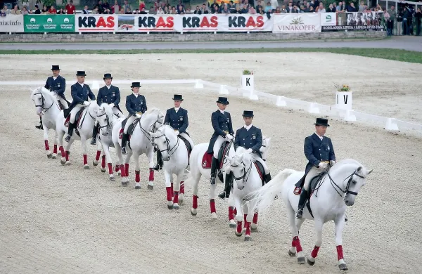 V Lipici bodo z gala predstavo na hipodromu danes zaokrožili praznovanje ob letošnjem Dnevu Kobilarne Lipica