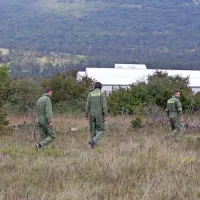 Kriminalisti so pregledovali območje ob poraščeni dolini in iskali morebitne odpadle dele letala  