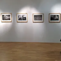 Razstava fotografij Žige Koritnika v Hiši kulture v Šmartnem  