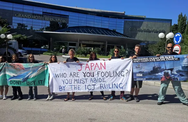 Aktivistom organizacije Sea Shepherd, ki se bori proti kitolovu, niso dovolili vstopa v konferenčno dvorano, zato so mirno protestirali pred hotelom na Bernardinu 