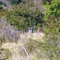  Neuradno smo izvedeli, da so preiskovalci še včeraj iskali morebitne preostale dele letala, še posebej pa kamero, ki naj bi jo pred vzletom pritrdili na krilo nesrečnega letala