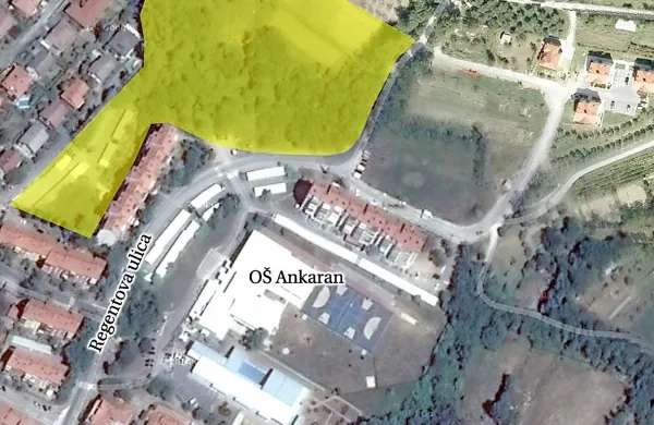 Po Popovičevi zamisli bi pokopališče v centru Ankarana (označeno z rumeno)   zajemalo okoli 7200 kvadratnih metrov