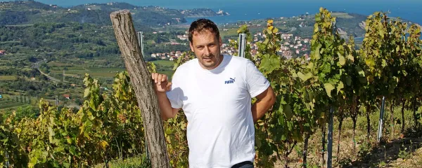 Uroš Rojac ima iz svojih vinogradov enega najlepših razgledov daleč naokoli