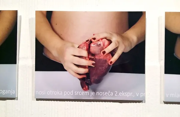 Foto izseki iz videa Tri poti Špele Pavli