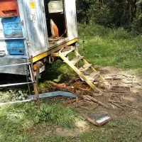 Tako je medved uničil čebelnjak v Dolnjih Vremah 
