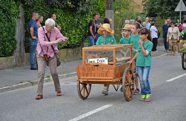 Tradicionalna etnološka, kulturna in športna prireditev Boreljada se je minuli konec tedna vrnila na ulice Vrtojbe