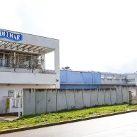 Delmar je bilo še zadnje izolsko večje podjetje, ki se je ukvarjalo z ribami