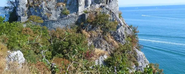 V Devinu je tudi stari grad iz 14. stoletja, ki je skozi stoletja navdihoval pesnike, pisatelje in skladatelje. Po obdobju propadanja so utrdili razvaljene zidove, tako da je sedaj spet odprt za obiskovalce.