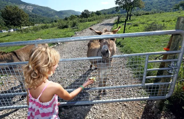Park avtohtonih živali v Hrastovljah odpira vrata