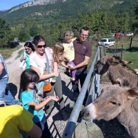 Park avtohtonih živali v Hrastovljah odpira vrata
