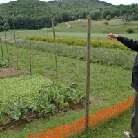 Tatjana Gorjan, zeliščarka z Lokvi