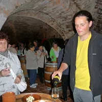 V zidanici Malek je vino, šipon, renski rizling in traminec, okušala tudi  Lilijana Božič (v ospredju levo). Zaupala nam je, da je na PN naročena 23 let, kolikor je v pokoju, in da ji časopis krajša upokojenske dni. Prej pa ga je prodajala, v trafiki na