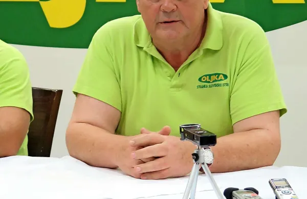 Vojko Ludvik