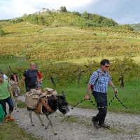 Aktivni turizem v Brdih cveti