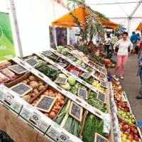 V Kopru približno 100 razstavljalcev