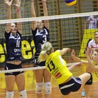 Uspe&scaron;en maraton Novogoričank