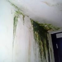  Voda najde pot v sobe in skozi betonske plošče, propadanje je očitno