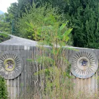 Zaraščena in zapuščena zapuščina 