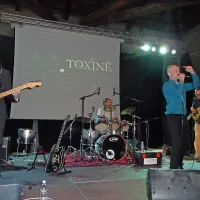 Toxine