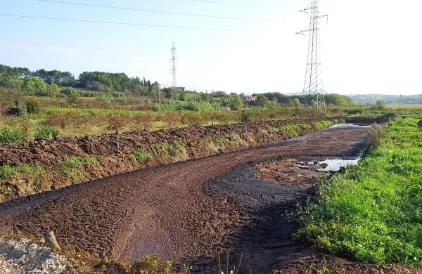  Pogled na nekaj metrov dolgo jamo, v kateri je bilo slišati brbotanje razkrajajočih ostankov oljčnega mesa, je  dovolj zgovoren