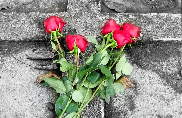 Venček na grob vojaka - pridružite se!