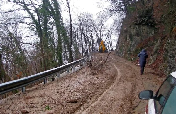 Plaz s približno   sto kubičnimi metri zemlje, blata in polomljenega drevja je na cesto zgrmel v času žleda februarja letos