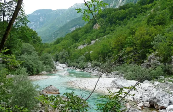 Soča