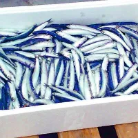 Pomembna je tudi zdrava prehrana, vendar ne z veliko maščobe, pa še ta naj vsebuje veliko nenasičenih maščobnih kislin