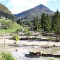 Močno neurje po državi povzročilo veliko težav