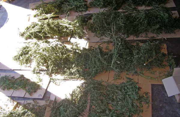 Pijan za volanom trčil v prometni znak in po&scaron;kodoval delavca