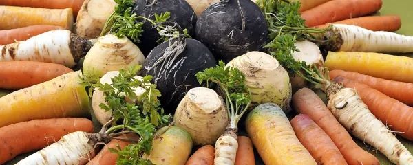 Veliko zelenjave je dobro za srce