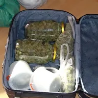 Iz avta se je &scaron;iril vonj po konoplji